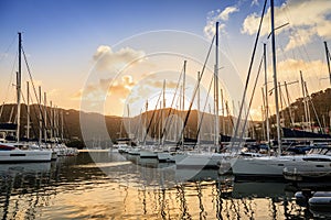 Marina in Tortola